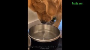 1000014059.mp4