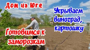 Готовимся к заморозка. Укрываем виноград и картошку.
