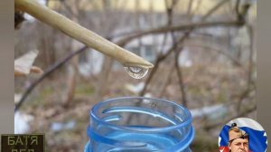 БАТЯДЕД - "БЕРËЗОВЫЙ СОК"