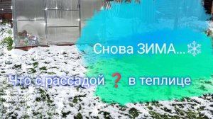 28-04-2025
