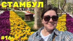🌷 Неделя флориста в Стамбуле #16 - Цветение тюльпанов и обзор цветочных магазинов и рынков