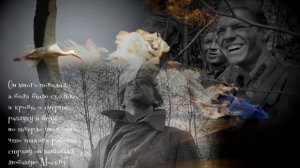 Журавли (Дню победы посвящается)..вечная память тем, кто не вернулся..