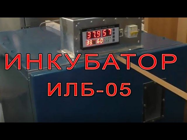 Инкубатор ИЛБ-0,5 | Ремонт и модернизация пятигорского инкубатора