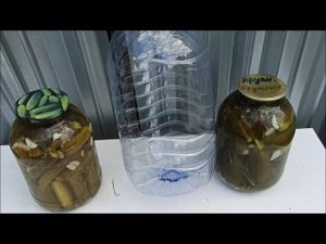 Как сохранить СОЛЕНЫЕ ОГУРЦЫ без холодильника.