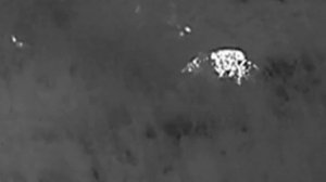 Охота на кабана c пулей Green Hunter 308 win. Пули для охоты и спорта Russian Solid.