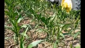 адская машина🔥