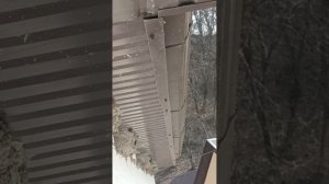 1000327530.mp4 НАЛЬЧИК. 27.03.2024. сан. Целебные воды. Воробьи в ласточкиных гнездах