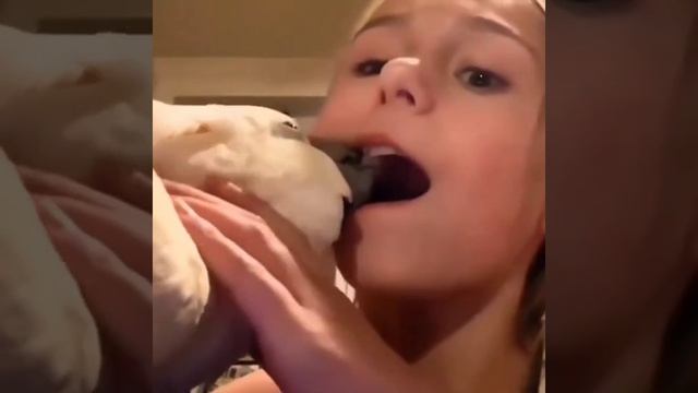 Домашний стоматолог🦜👍