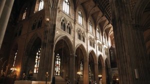 3987762-hd_1920_1080_24fps