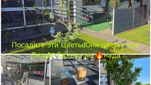 Закупка Продуктов 🛍🛒Дачный Влог/Пересадка Алиандр Самый красивый цветок 🌺🌺🌺Палив участка