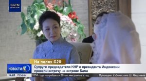 Встреча Пэн Лиюань с Ибу Ирианой