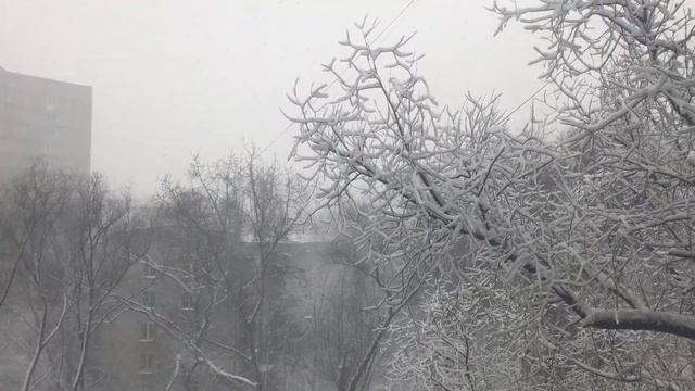 Дмитрий TV. Клип Весна на песню Люды Харт Весна. Видео снято 2 апреля.