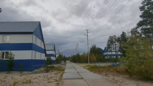 Командировка Тарко Сале сентябрь 2021 смотреть онлайн