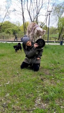 БК Рокси - начало каскада на спине