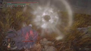 ELDEN RING Дейн Сухой Лист