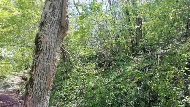 И снова г. Собер-Баш 