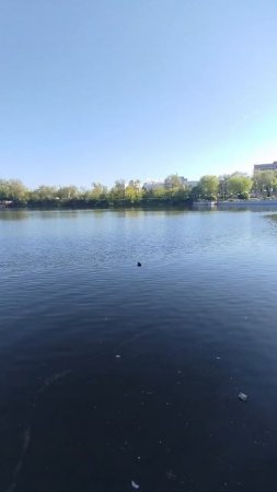 Ленинский проспект Донецка