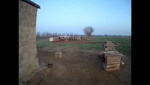 05.04.2025 ЧТО ДЕЛАТЬ? : ЛПХ В ОПАСНОСТИ