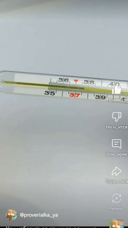 29 апреля 2025 г.