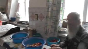 Наши обычные дела: делаем годными червивые яблоки, орехи грецкие. 11. 08. 017