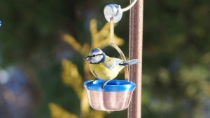 Кормушка для птиц