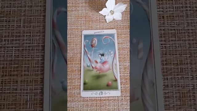 ТАРО. Упражнение для начинающих тарологов (колода Николетты Чекколи)