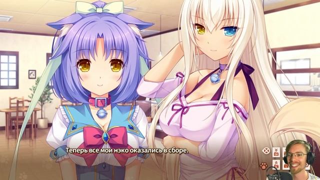 ВСЯ СЕМЬЯ КОТЯТОК // Nekopara Vol.1 #6 смотреть онлайн