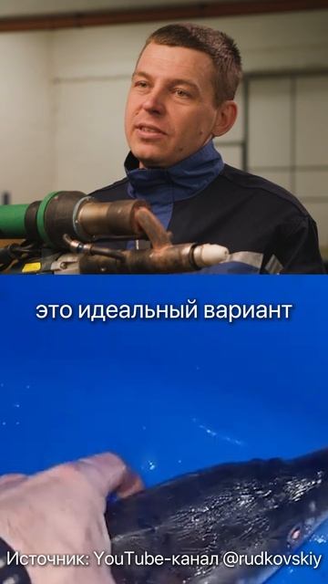 Лучший бизнес в гараже! Сколько можно поднять на выращивании рыбы? #бизнес #узв #заработок смотреть онлайн