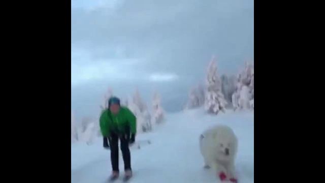 Смешливое Вирусные видео ССЫЛКА В ОПИСАНИИ!