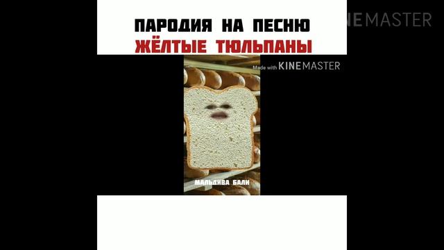 Пародия на песню Жёлтые тюльпаны