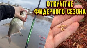 Открытие Фидерного сезона Ловля Леща на Фидер