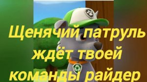 комикс щенячий патруль любовь день рождения Зумы