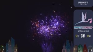 Фейерверк на гендер пати МАЛЬЧИК ИЛИ ДЕВОЧКА? (МАЛЬЧИК) БСП0202010 PIROFF