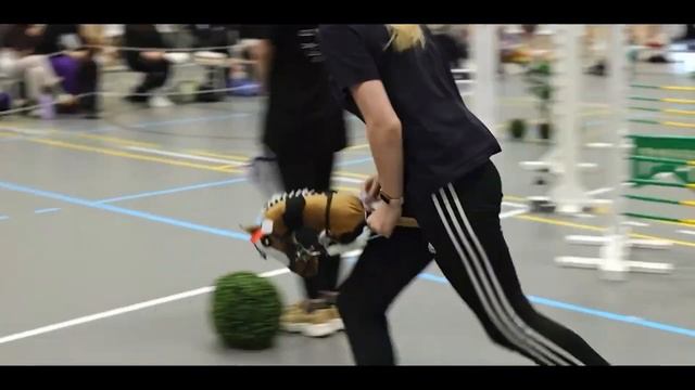 ХОББИчто? хоббиКак? Акак.. смотреть онлайн