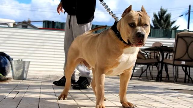 Топ 10 песен которые ищут ВСЕ! смотреть онлайн