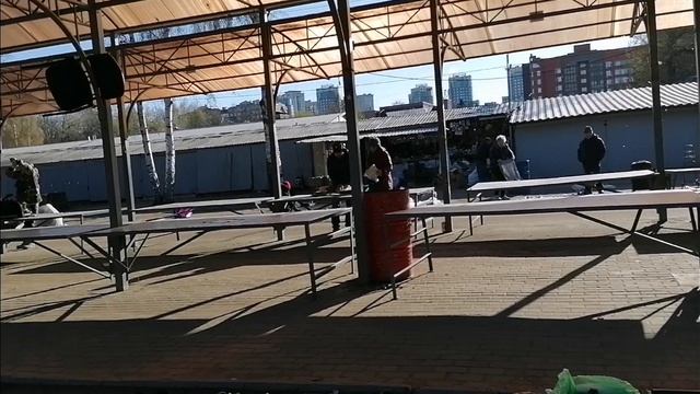 Как я зарабатываю лазая по мусоркам Питера? Dumpster Diving