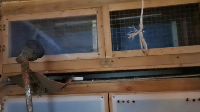 Зимовка пчёл, автоматика в курятнике. смотреть онлайн