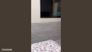These CATS Are Too Silly 😂 Funniest Cat Videos 2025 30 минут