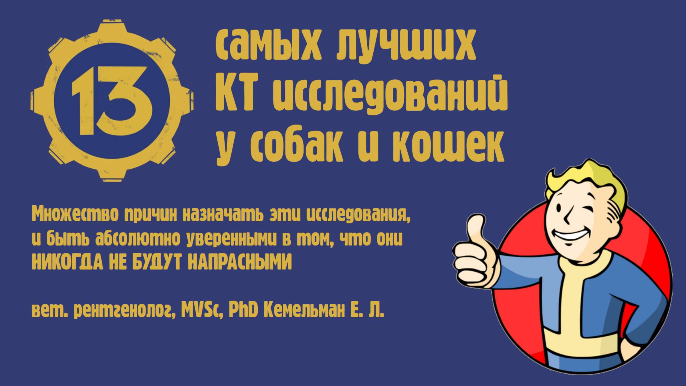 Чёртова дюжина самых нужных и важных КТ исследований в ветеринарной медицине