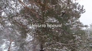 МОЙ ПОТЕРЯННЫЙ РАЙ. ЛЮБИМАЯ БЕЛАРУСЬ