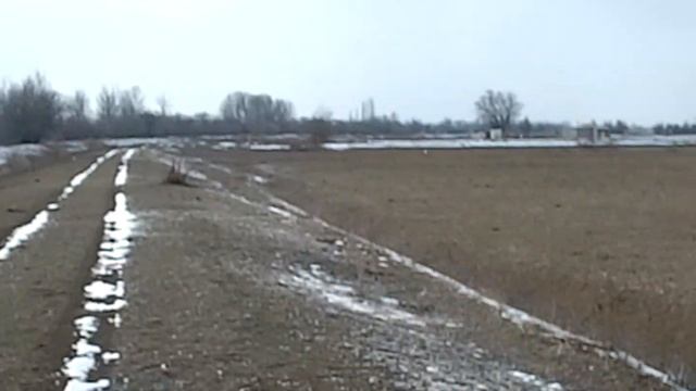 24.02.2025 ЧТО ДЕЛАТЬ? : ЛПХ В ОПАСНОСТИ смотреть онлайн