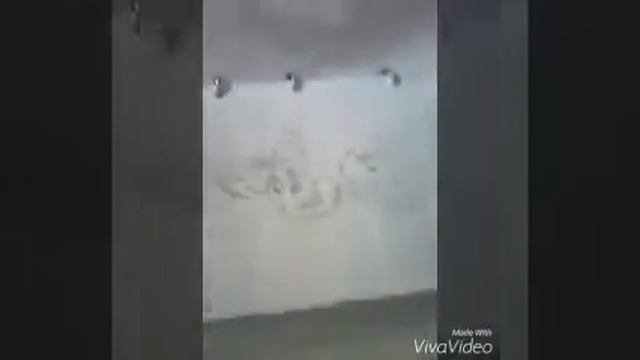 Рисунки😜😜😜😜 смотреть онлайн