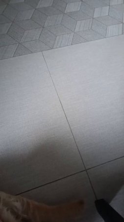 Ассоль