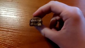 Обзор на Twix со вкусом „имбирное печенье”.