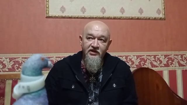 Репортаж с 4#PowerMetalFest в Москве, клубе Mezzo Forte: интервью с музыкантами, отзывы, выступлени