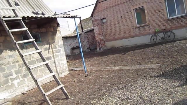 22 марта пос новоэкономическое смотреть онлайн