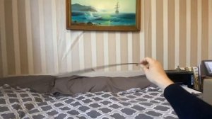 Обзор на портативный спиннинг для путешествий SHIMANO KATANA 210 см