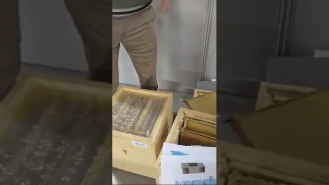 Инновационный Улей Василия Приятеленко, Конгресс Апимондия 2017, Стамбул, Турция