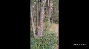 СЧАСТЬЕ- ПРОСТО ЖИТЬ!