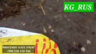 БИОГУМУС! Эээ мынаке ЭРНИСТЕН КЫМБАТ БААЛУУ КЕНЕШТЕР МЭЭНЕТКЕЧ СООЛЖАНДАРДЫН СЫРЫ